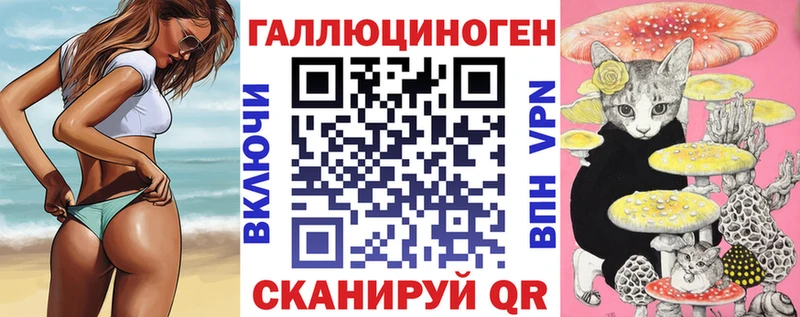 где можно купить наркотик Чадан Галлюциногенные грибы мицелий