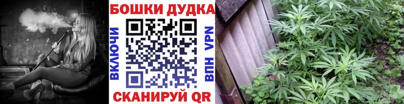 МАРИХУАНА гибрид Чадан